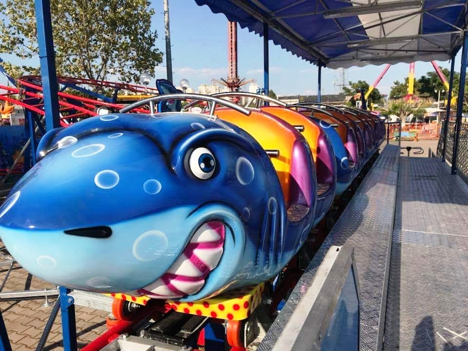 Shark