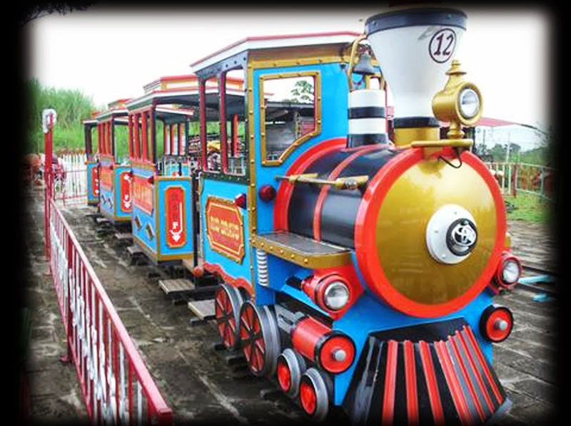 Tren Río Bravo